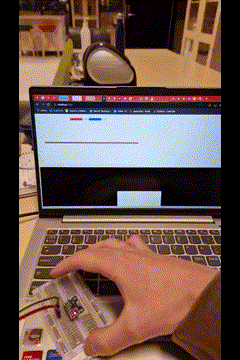 Displaying drone data on a website