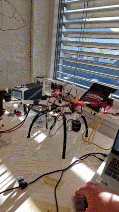 Gyro test